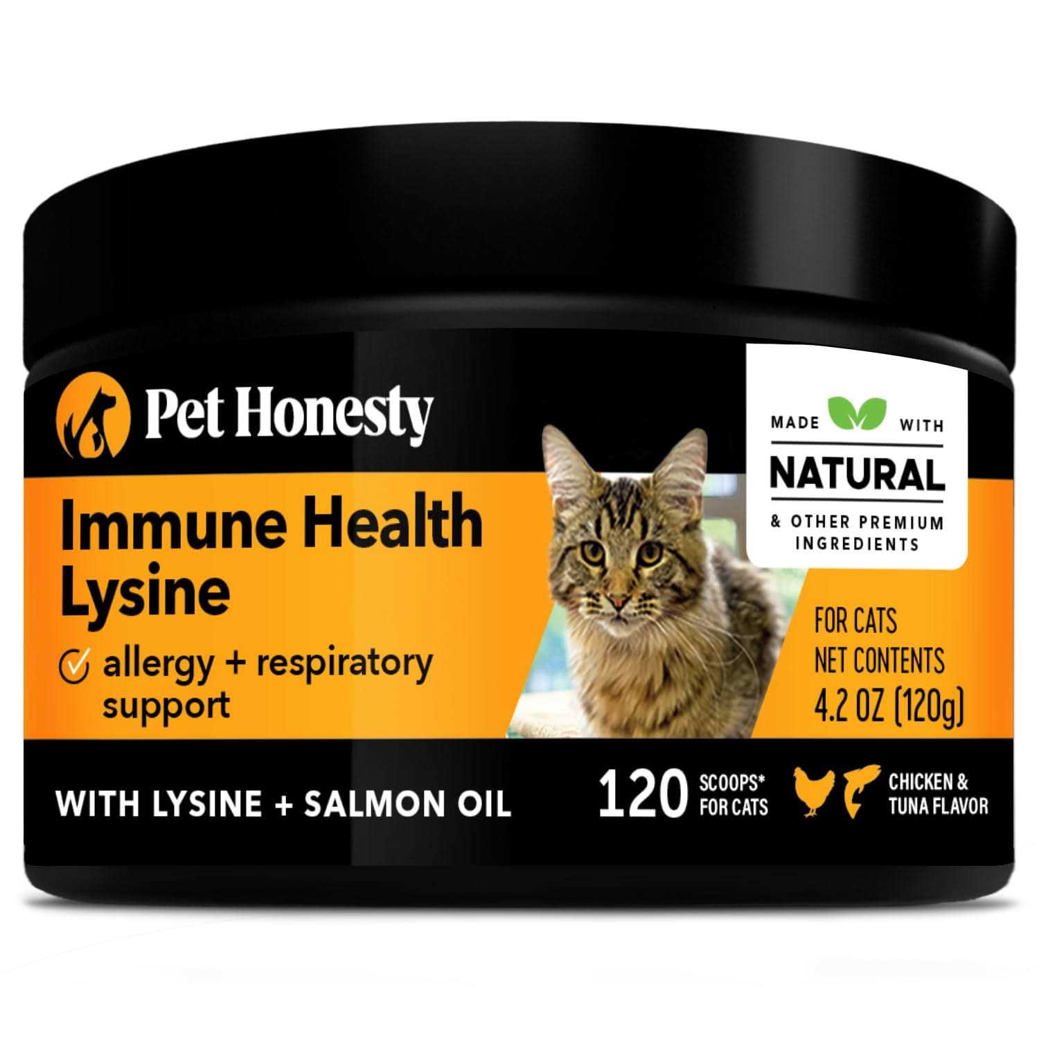 Pet Honesty Immune Health Lysine Powder Cat Supplement - Healthber