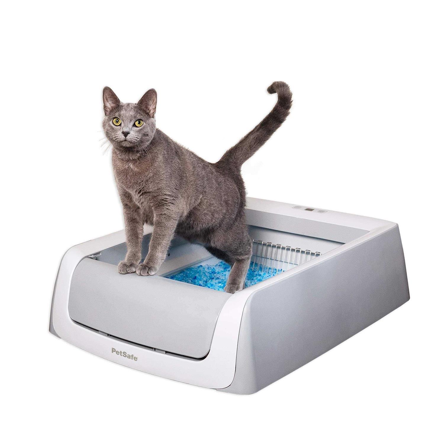 PetSafe ScoopFree Self-Cleaning Cat Litter Box - Healthber