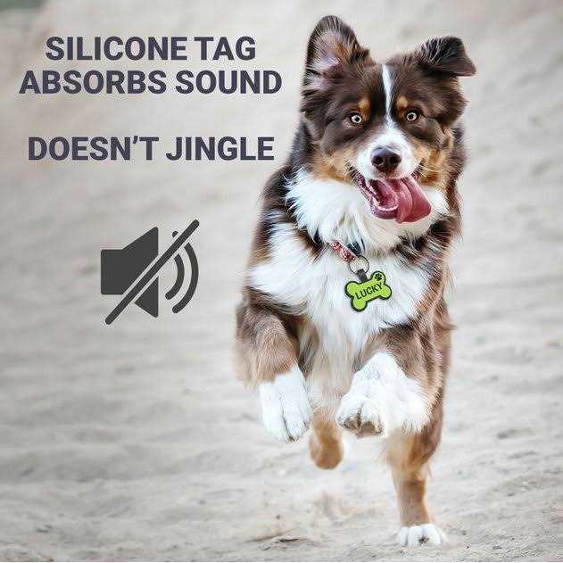 GoTags Personalized Silicone Bone Dog ID Tag - Healthber