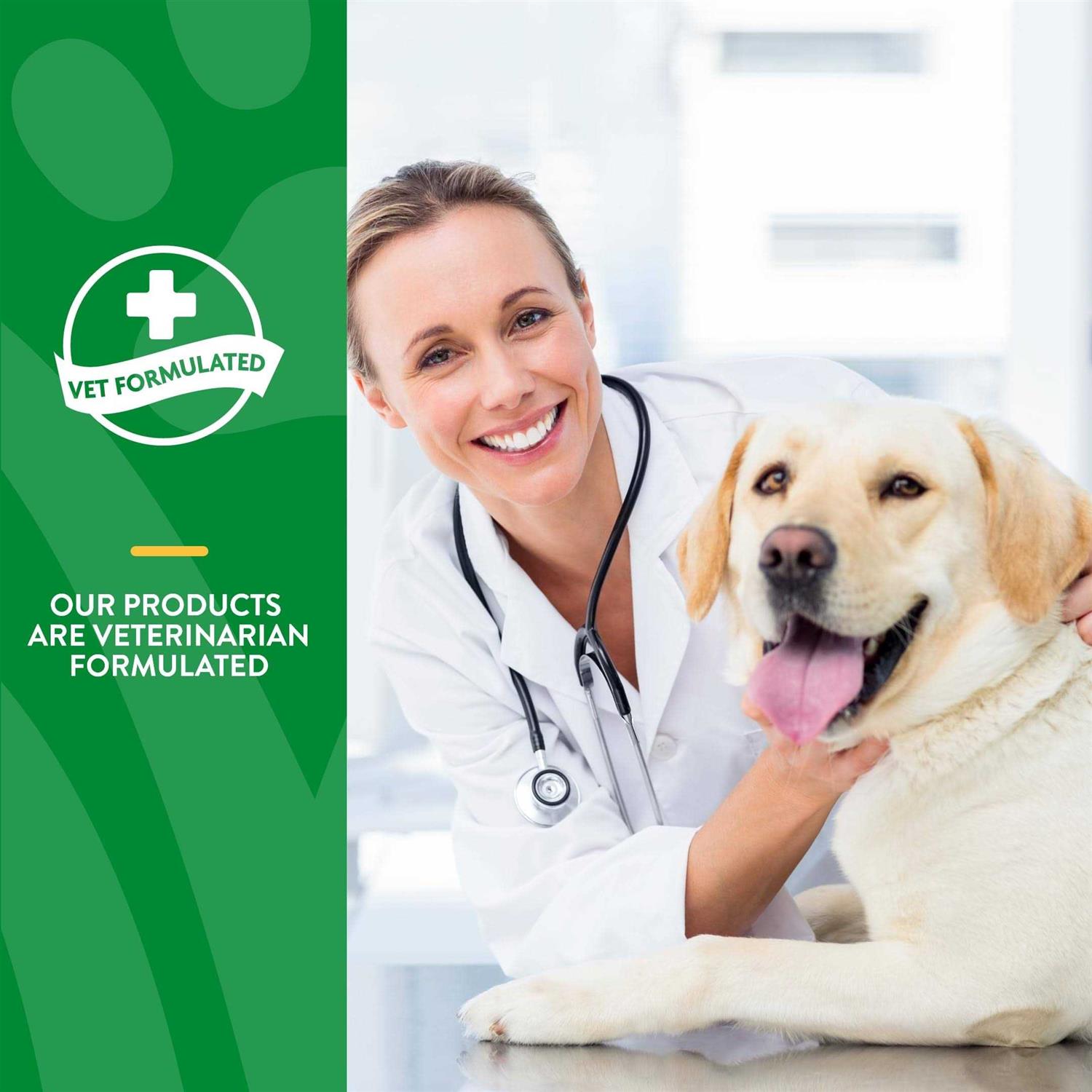 NaturVet Digestive Enzymes Powder - Healthber