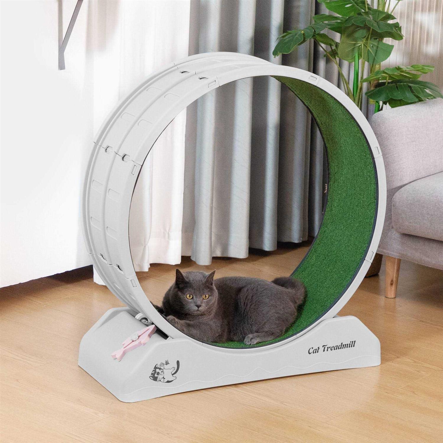 Coziwow31.5L Cat Exercise Wheel Indoor Cat Treadmill with Locking Mechanism - Healthber