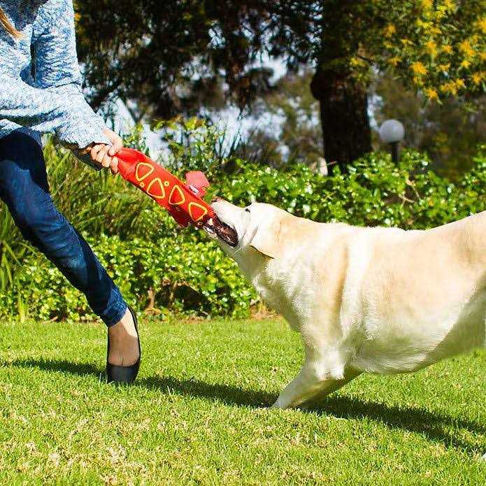 Outward Hound Fire Biterz Dog Toy Lizard - Healthber