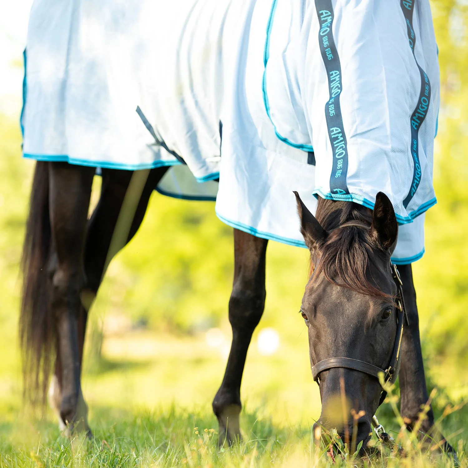Amigo Bug Rug Horse Fly Sheet - Healthber