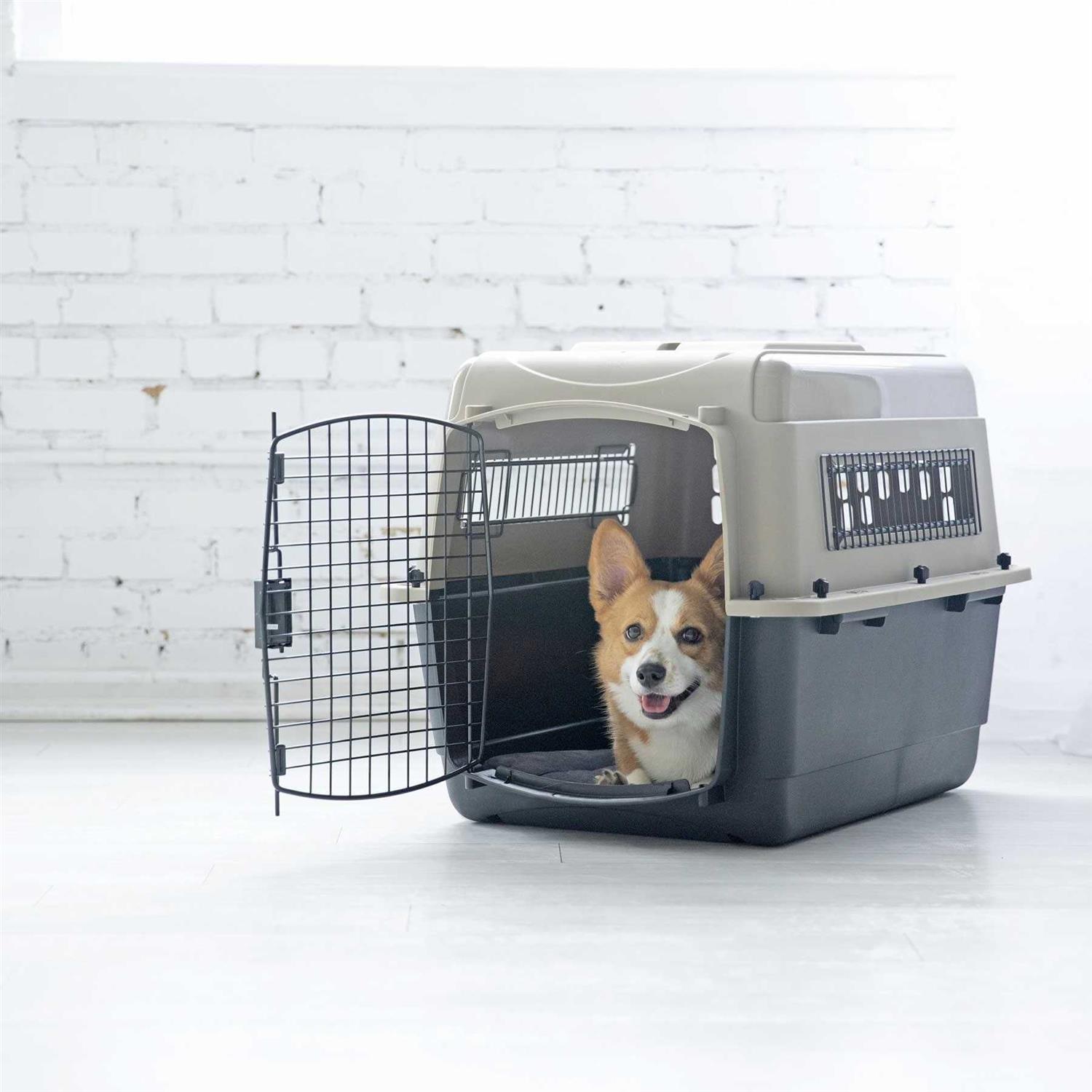 Petmate Vari Kennel - Healthber