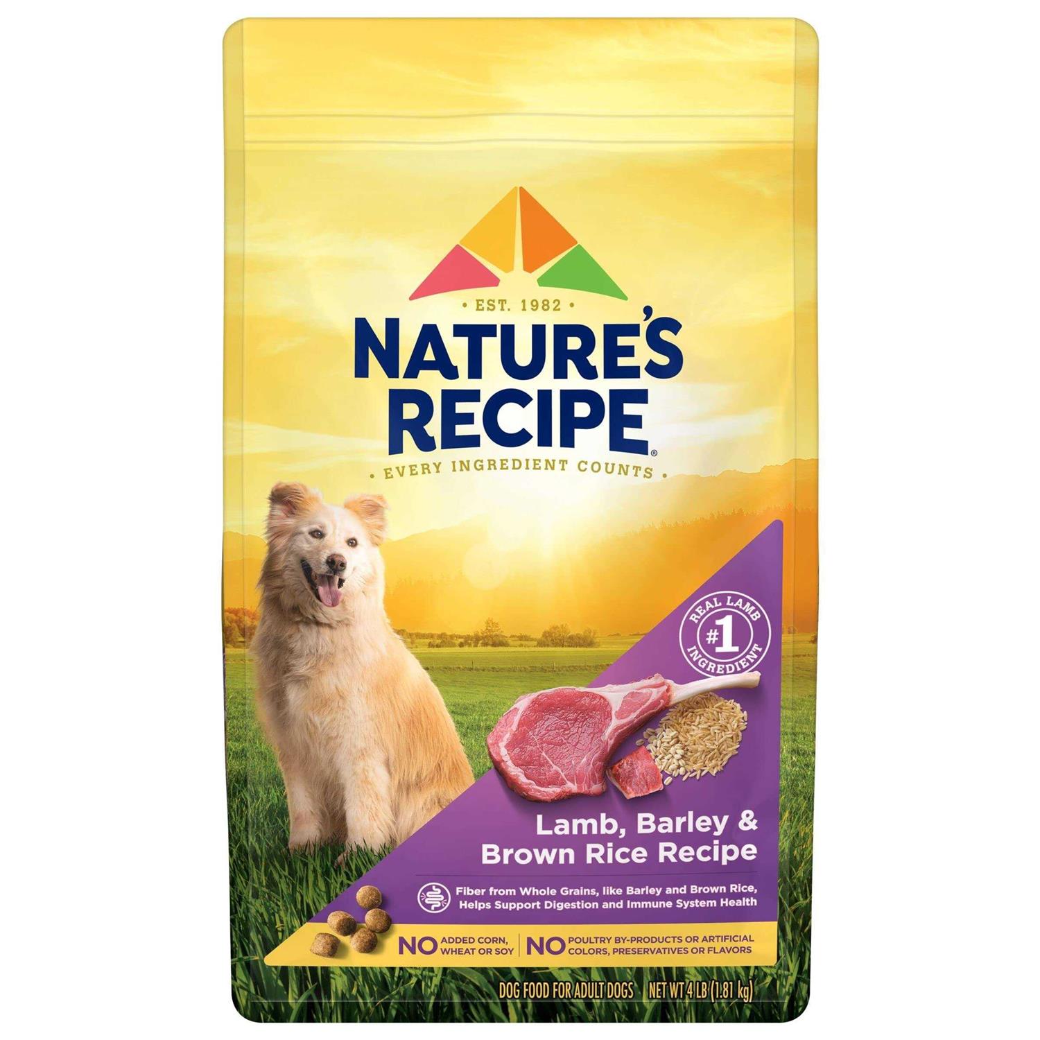 Nature’s Recipe Adult Dry Dog Food - Healthber