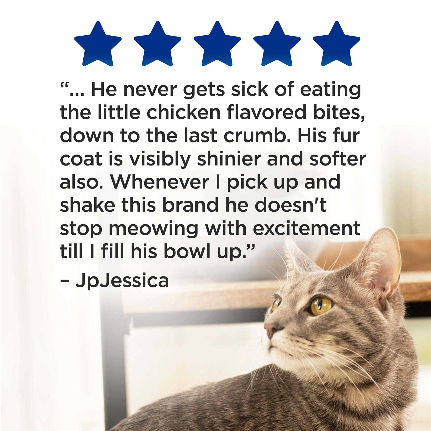 Purina Cat Chow Complete Dry Cat Food - Healthber