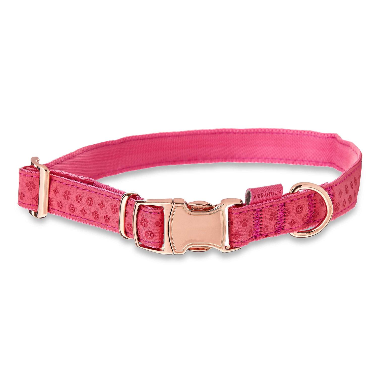 Vibrant Life Embossed Adjustable Dog Collar - Healthber