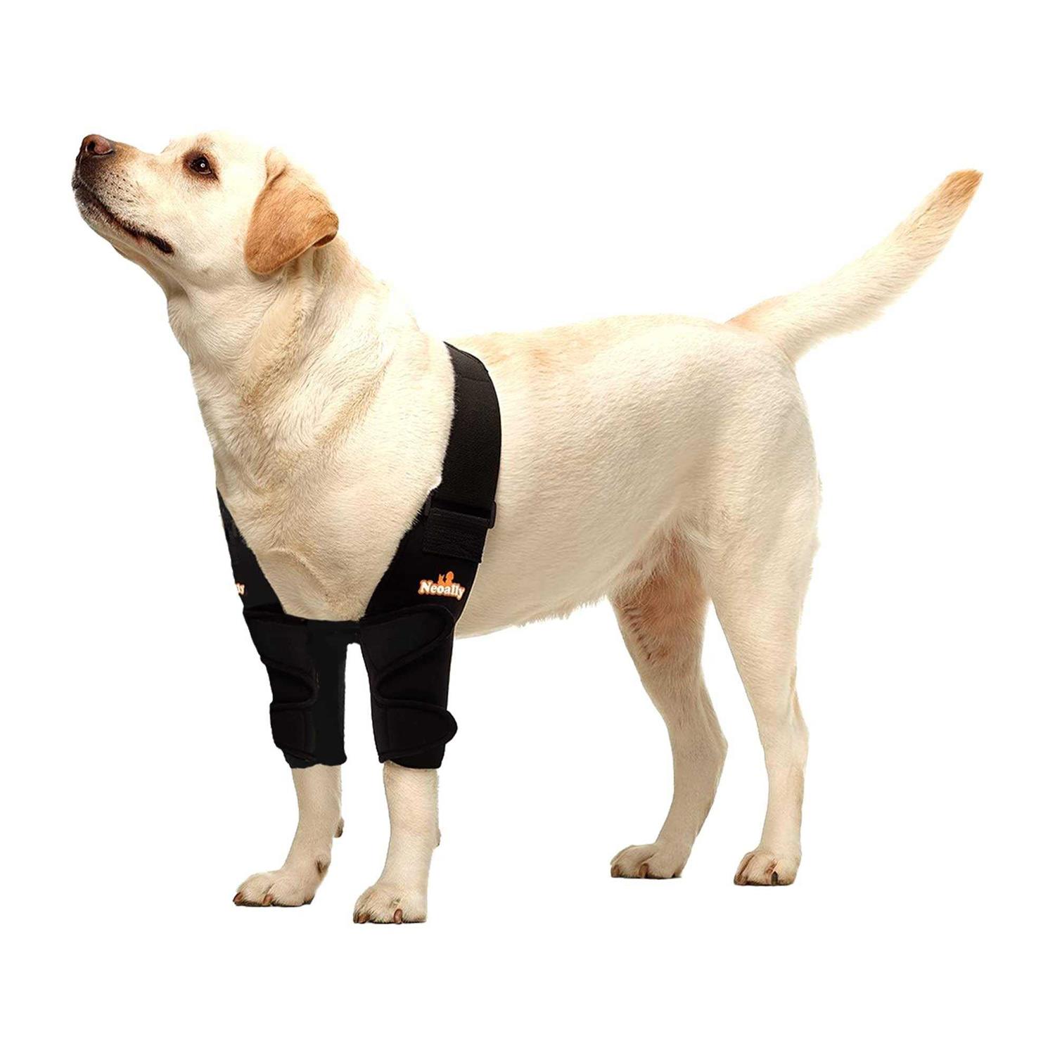 NeoAlly Dog Elbow Brace Protector Pads for Canine Elbow and Shoulder Support Elbow Hygroma - Healthber