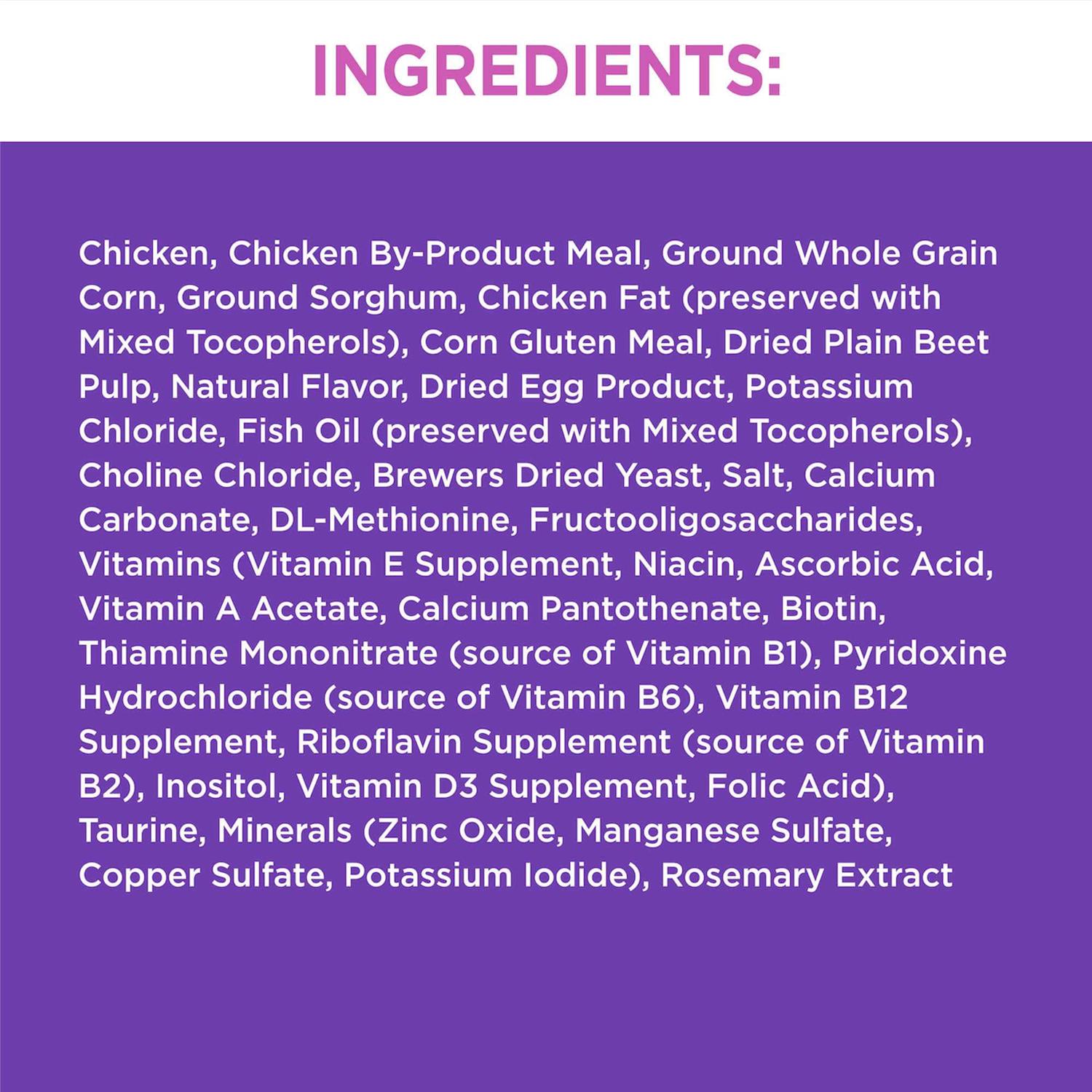 Iams ProActive Health Dry Kitten Food - Healthber
