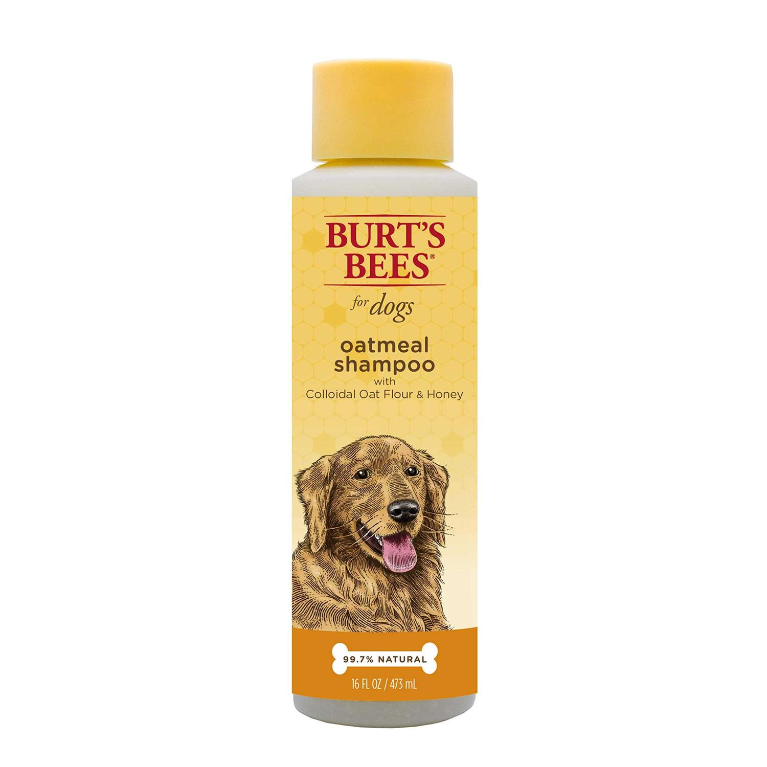 Burt’s Bees Oatmeal Shampoo - Healthber