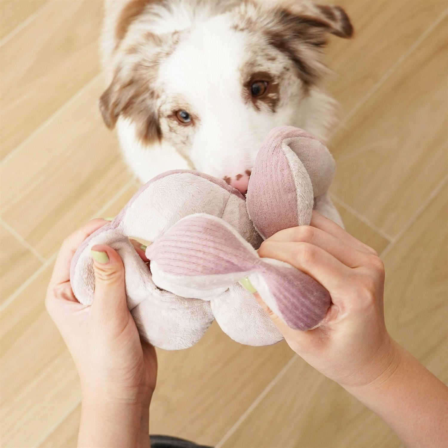 Monti Enrichment Dog Toy - Healthber