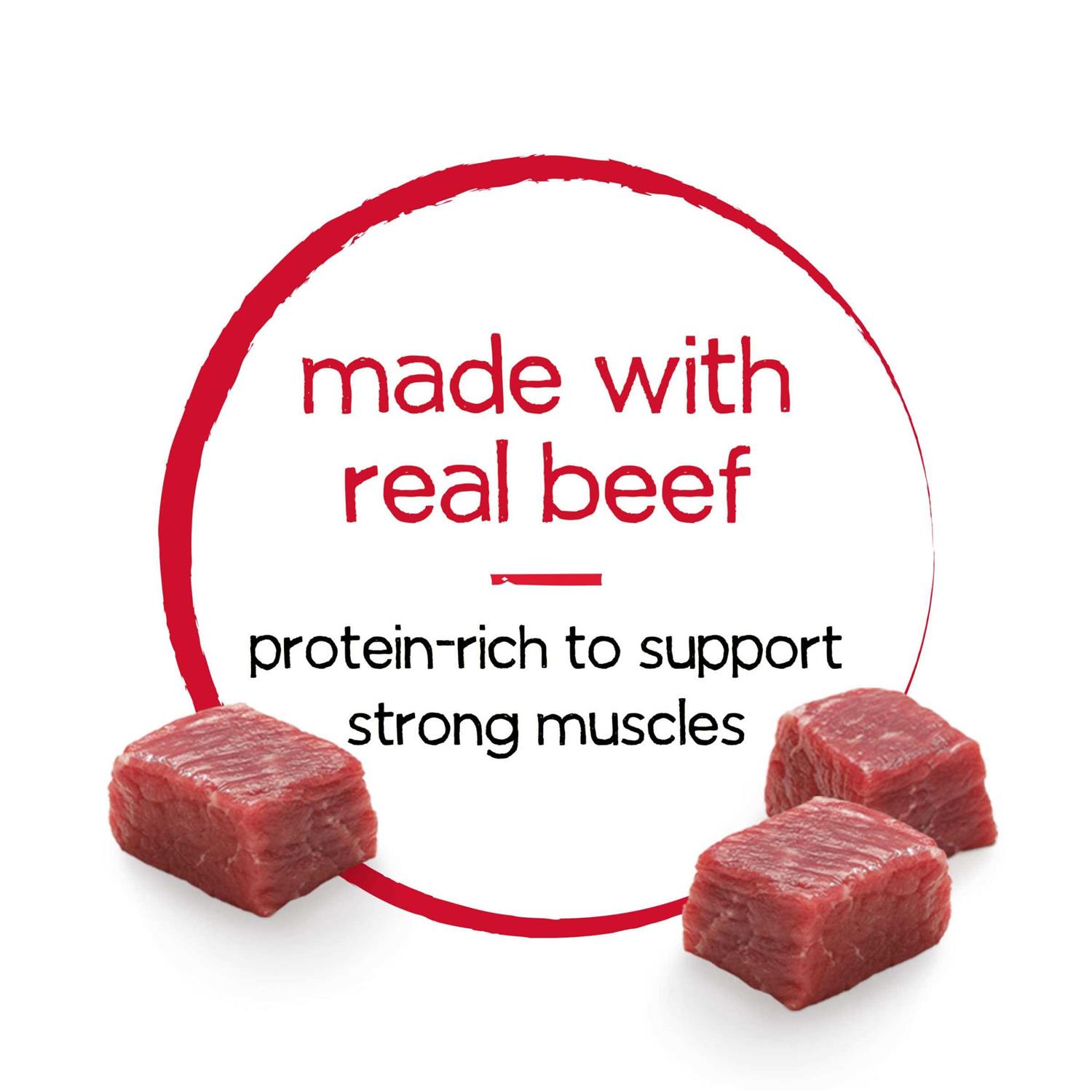 Purina Beneful Dog Food Infused - Healthber