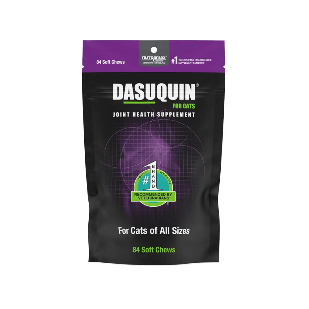 Nutramax Dasuquin Joint Health Supplement for Cats, Soft Chews - Healthber