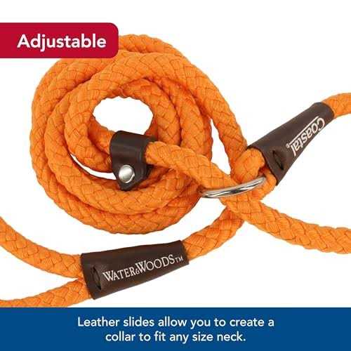 Water & Woods Braided Rope Dog Slip Leash - Healthber