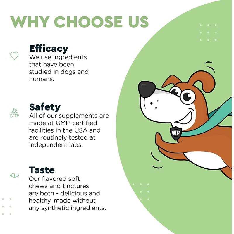 Wonder Paws Milk Thistle Liver Support for Dogs Supports Kidney Function for Pets - Healthber
