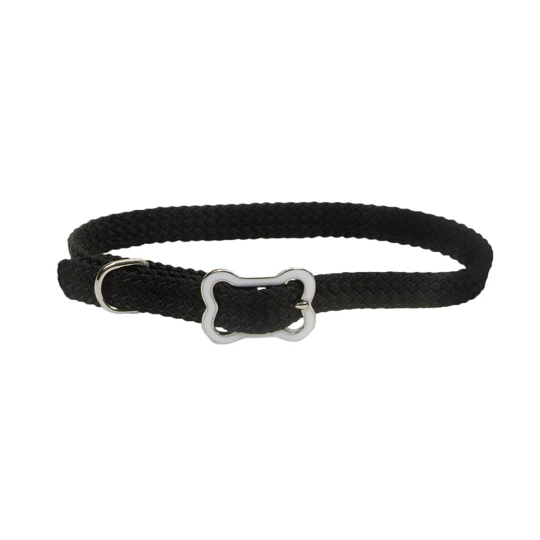Sunburst Dog Collar with Bone Buckle - Healthber
