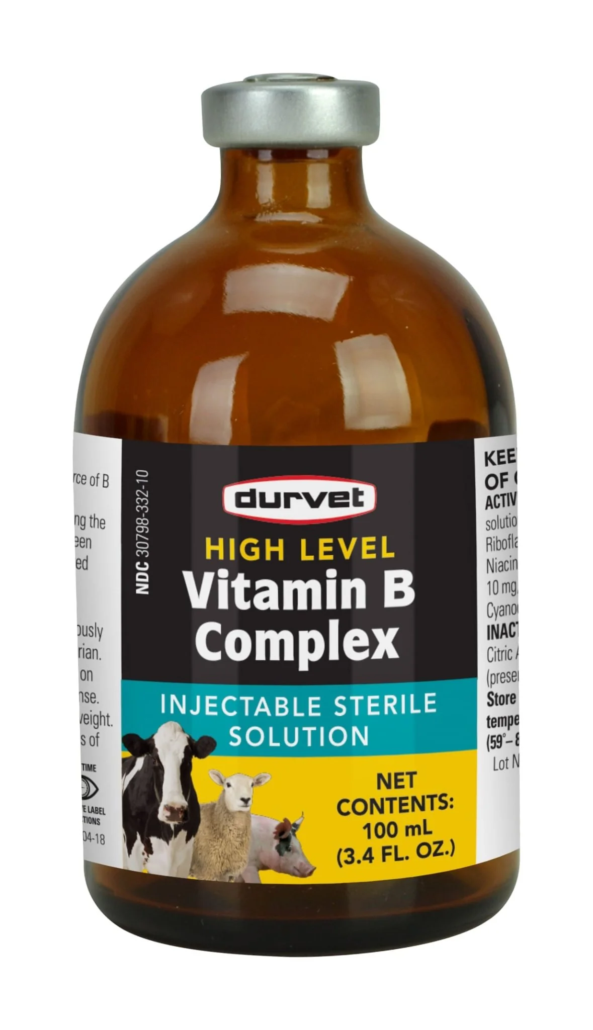 High Level Vitamin B Complex, 100 mL - Healthber