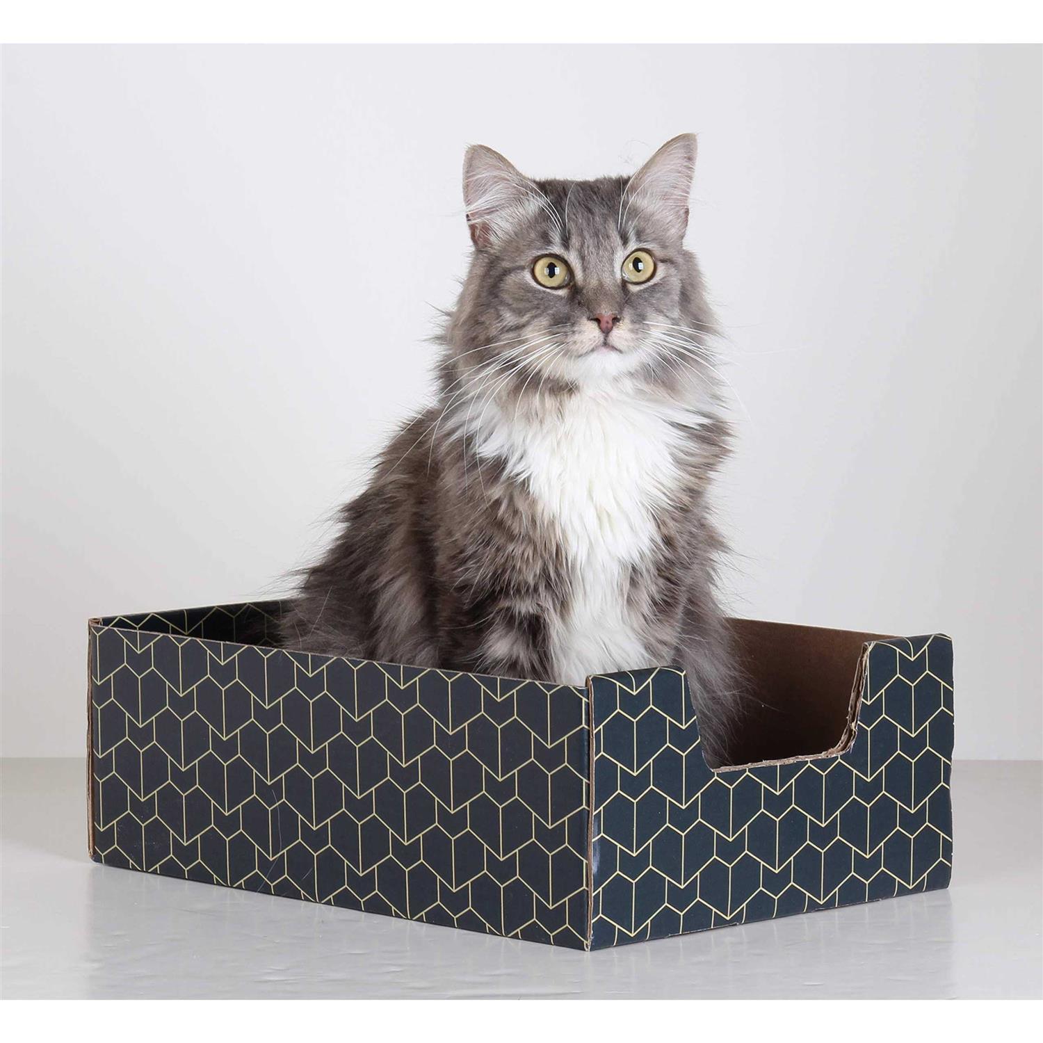 Purrfect Cat Box , Blue - Healthber