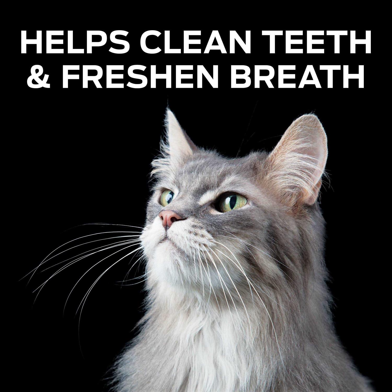 Purina Pro Plan Veterinary Diets Crunchy Bites Cat Treats - Healthber