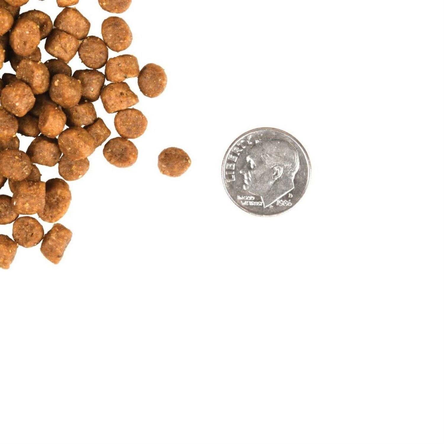 Fromm Gold Cat Food - Healthber