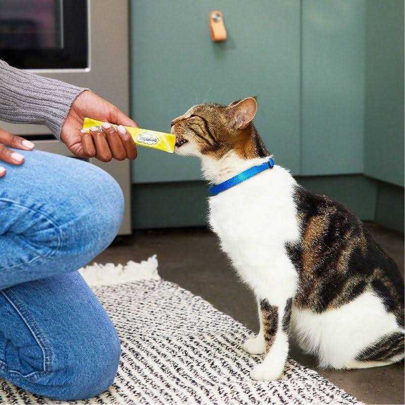 Temptations Creamy Puree Lickable Cat Treats - Healthber