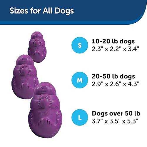 Busy Buddy Squirrel Dude Dog Toy - Healthber
