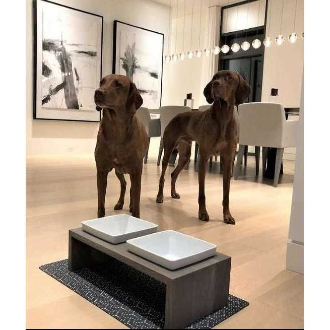 Bowsers Artisan Double Dog Feeder - Healthber