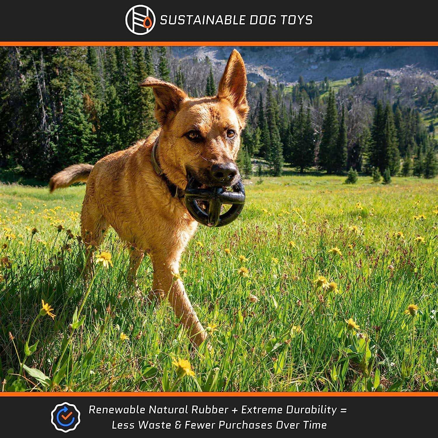 Monster K9 Dog Toys Monster K9 Tough Dog Toys for Aggressive Chewers Large Breed - Healthber