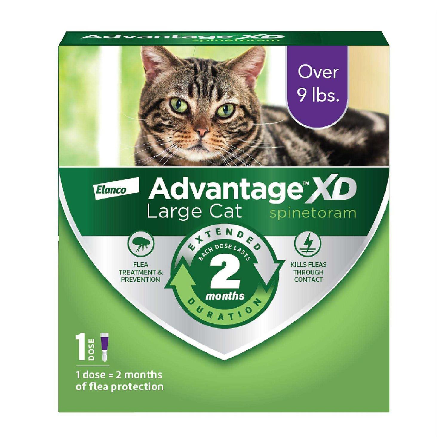 Advantage XD Cat Flea Prevention & Treatment for Cats - Healthber
