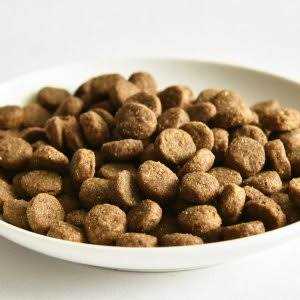 Go! Solutions Skin + Coat Care Salmon Recipe Dry Dog Food - Healthber