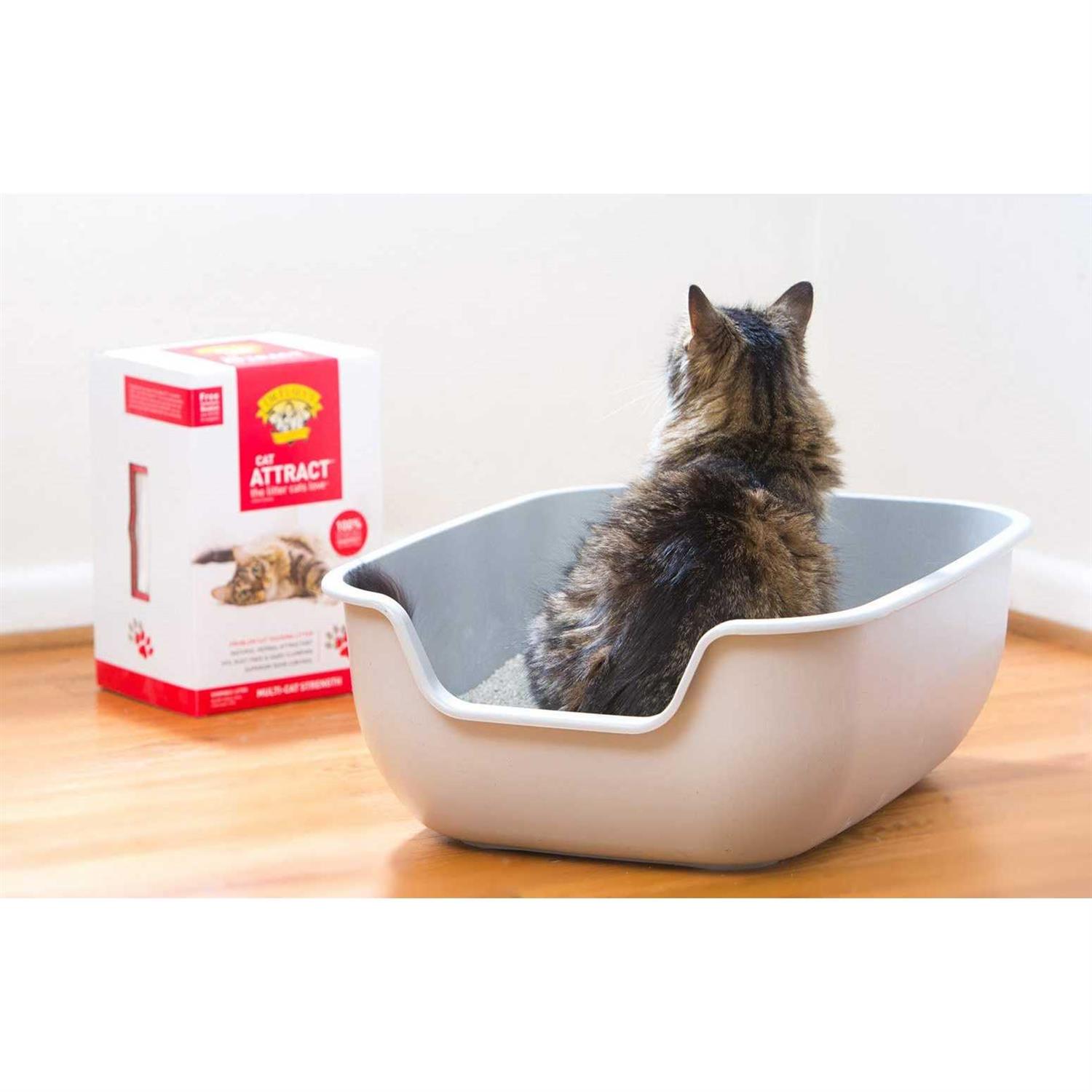 Dr. Elsey’s Cat Attract Cat Litter - Healthber