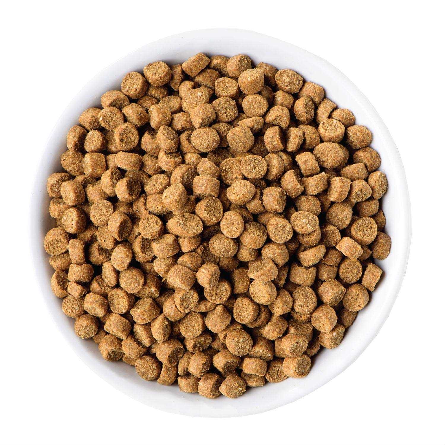 Wellness Complete Health Toy Breed Adult Dry Dog Food - Healthber