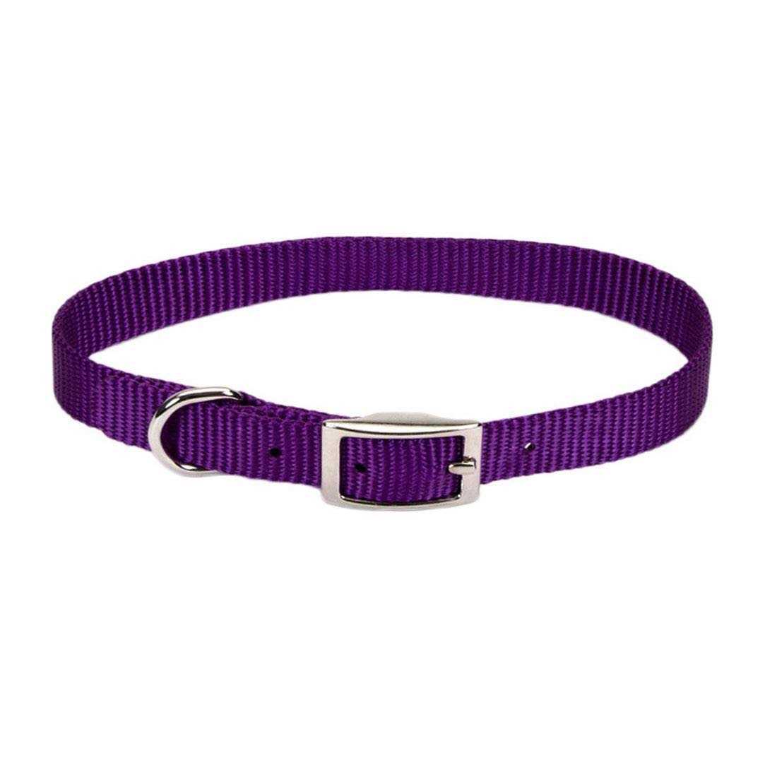 Coastal Nylon Pet Collar - Healthber