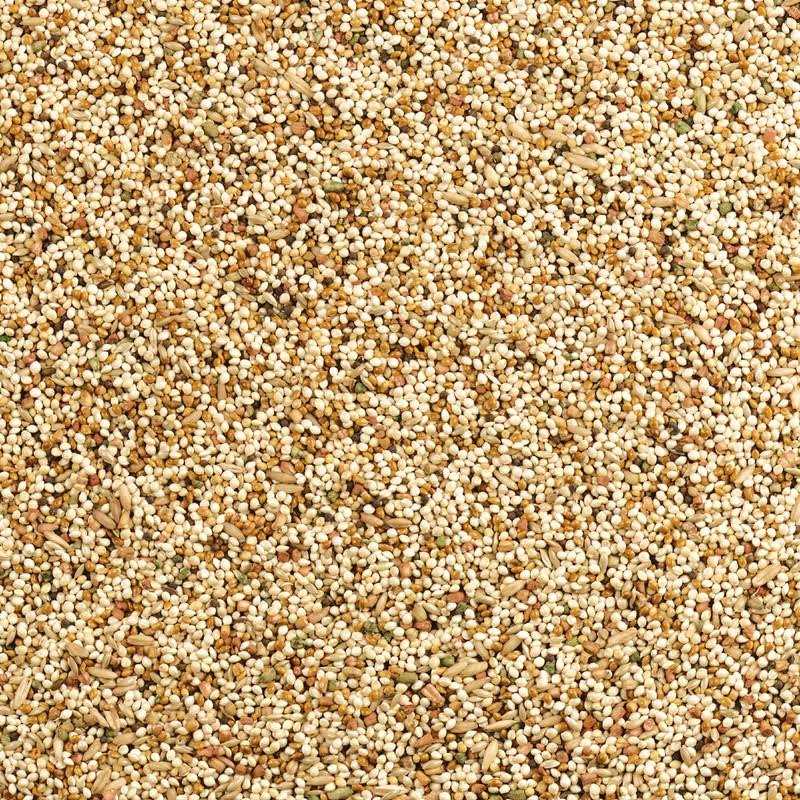 Wild Harvest Daily Blend Nutrition Diet for Parakeet, Canary and Finch 10 Pounds - Healthber
