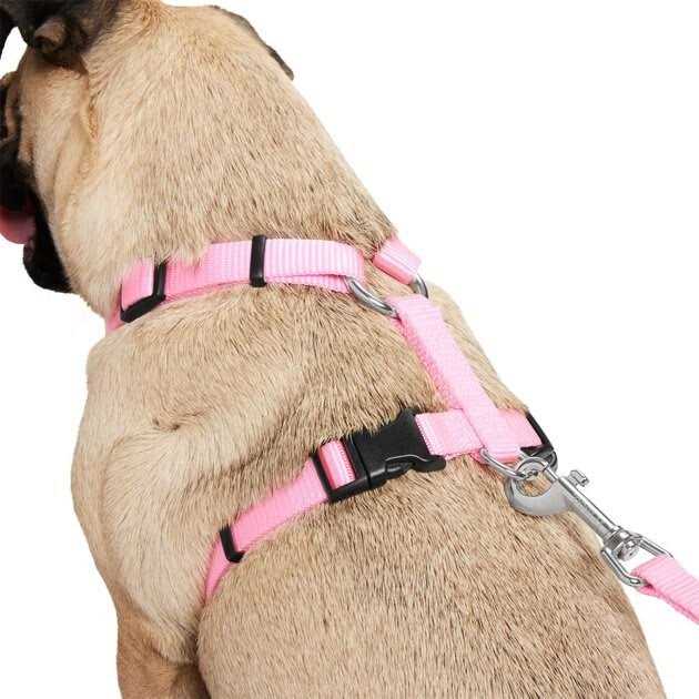 Frisco Padded Nylon No Pull Dog Harness - Healthber