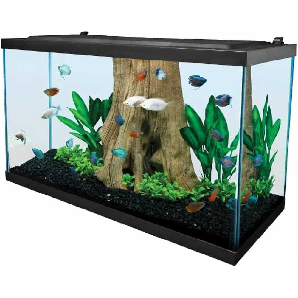 Tetra 29 Gallon Glass LED Aquarium Kit - Healthber