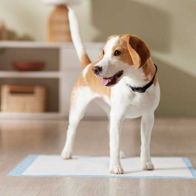 Frisco Training u0026 Potty Pads - Healthber