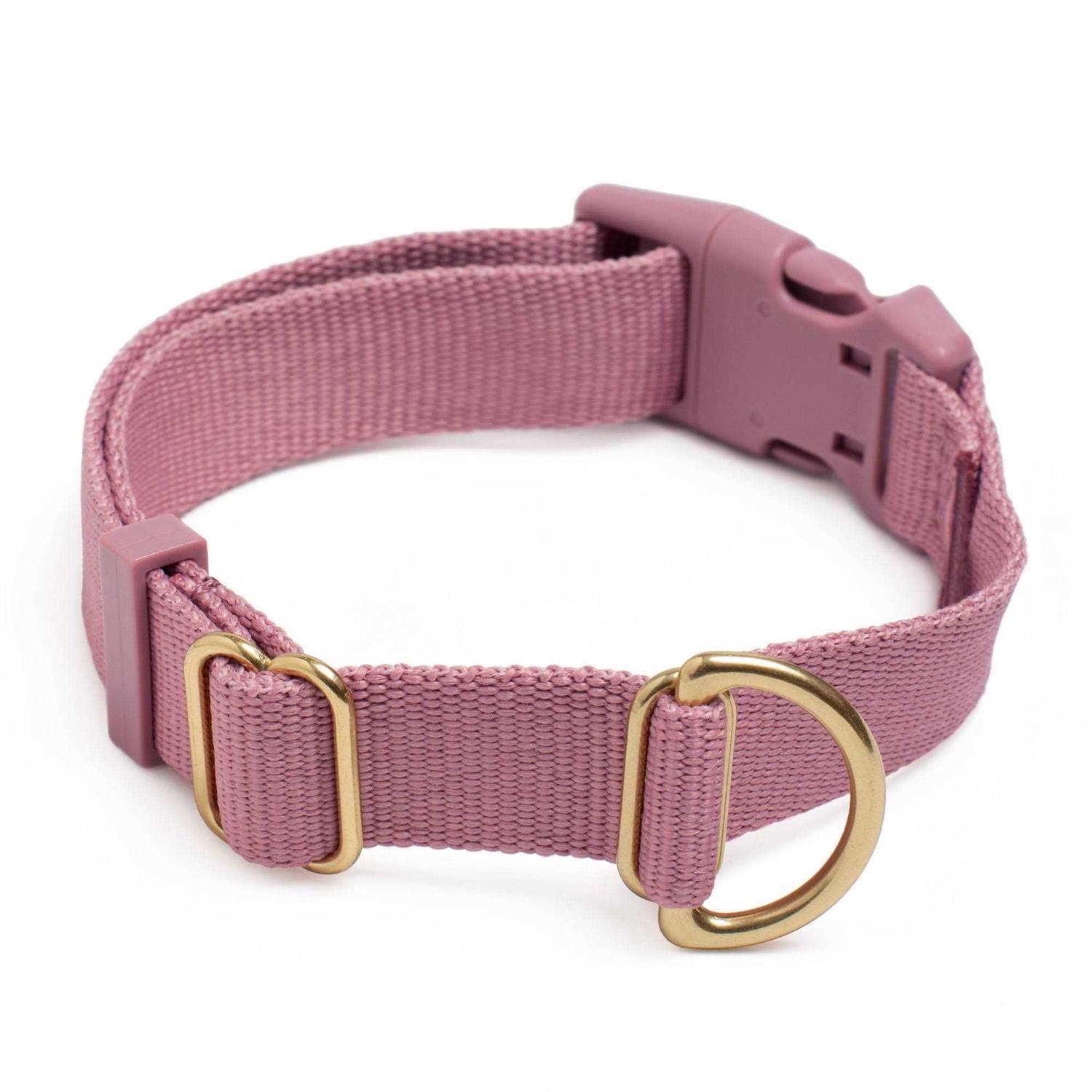 Awoo Pack Standard Dog Collar - Healthber