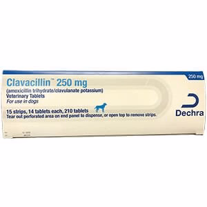 Rx Clavacillin (amoxicillin trihydrate/clavulanate potassium) Tablets for Dogs - Healthber