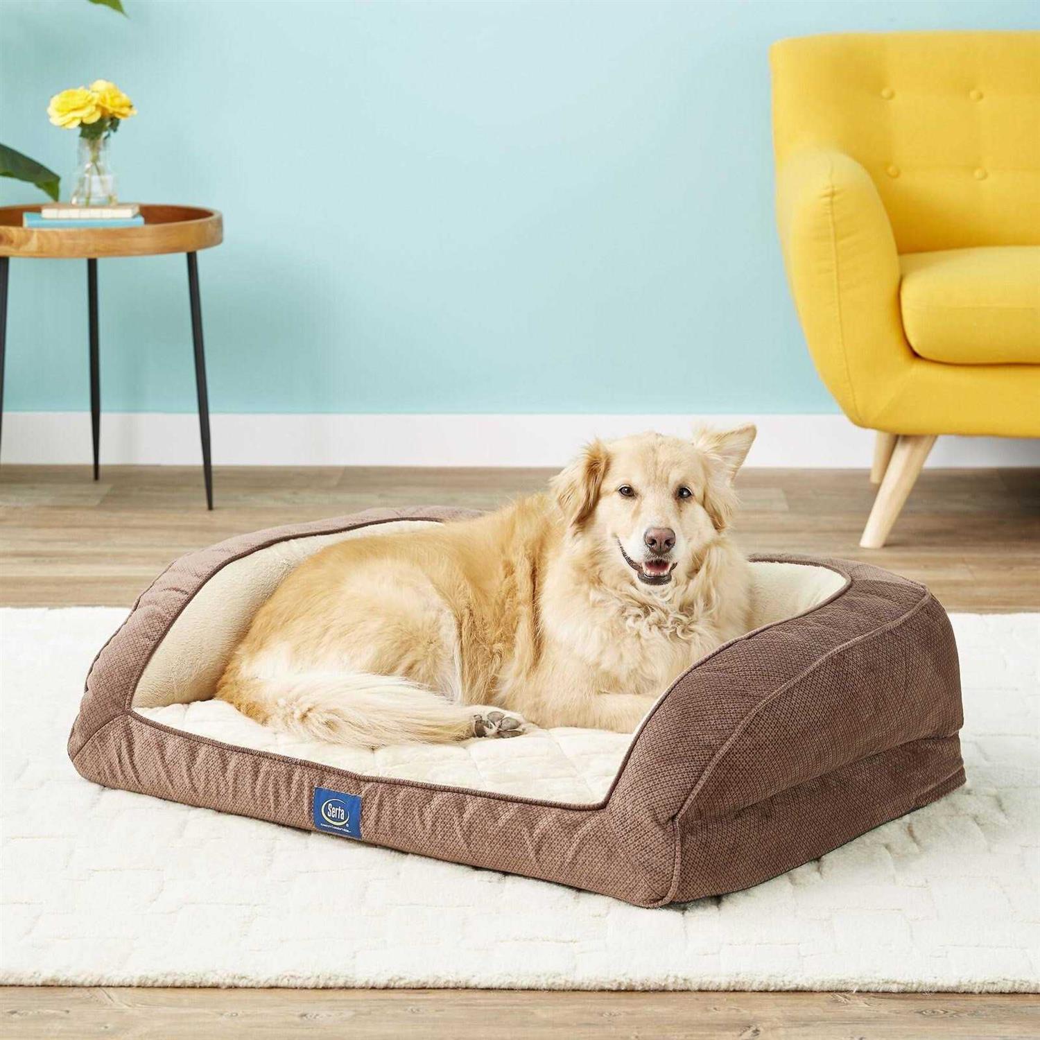 Serta Orthopedic Quilted Dog Cat Couch Bed - Healthber