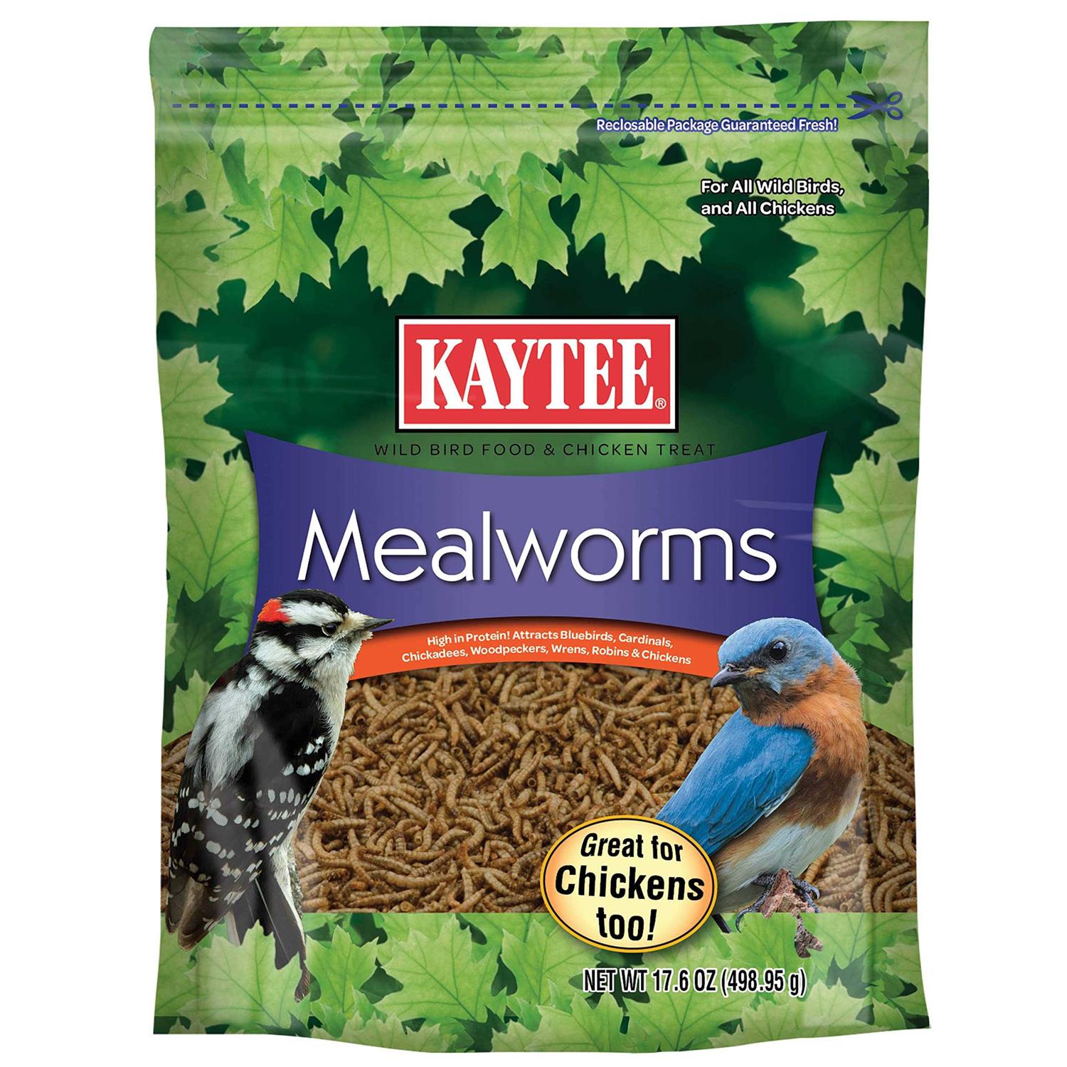 Kaytee Mealworms Bird Food - Healthber