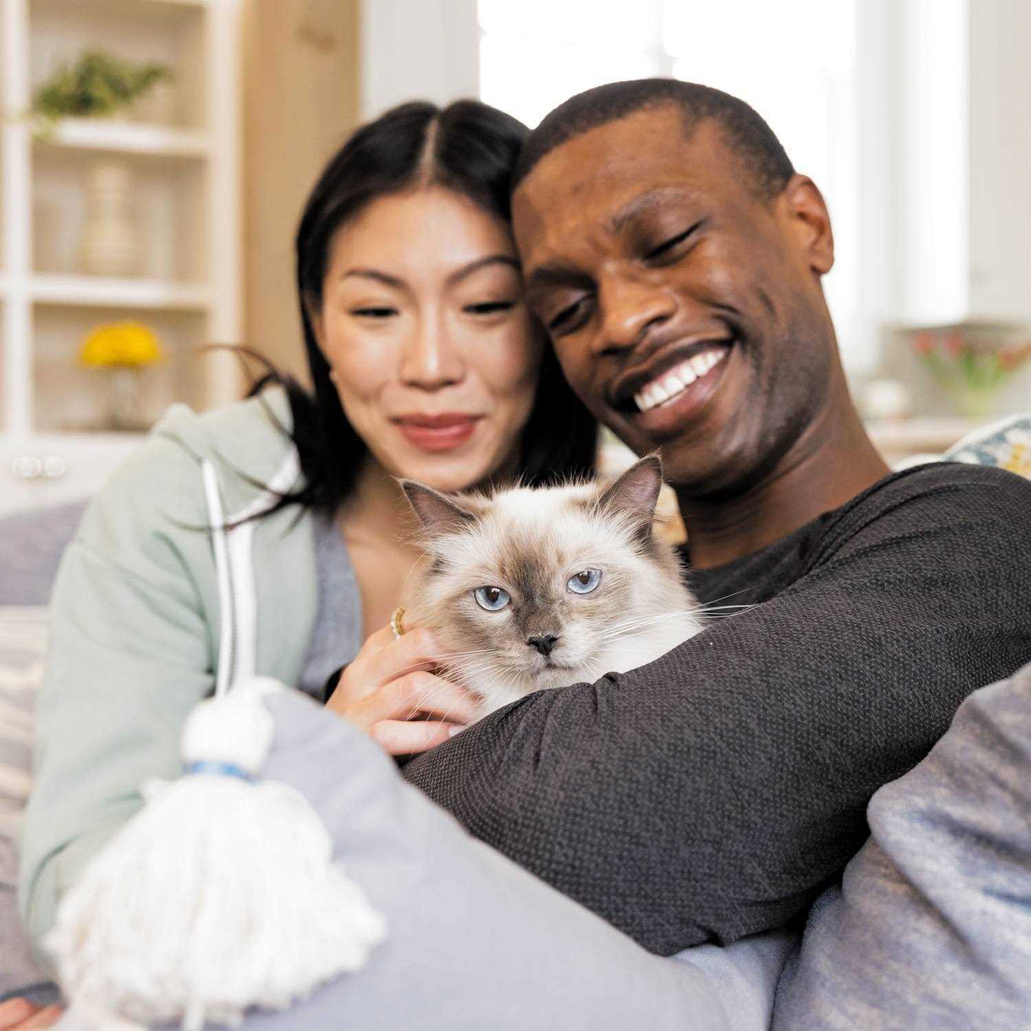 Iams Advanced Health Healthy Digestion Turkey & Chicken Recipe Adult Dry Cat Food - Healthber