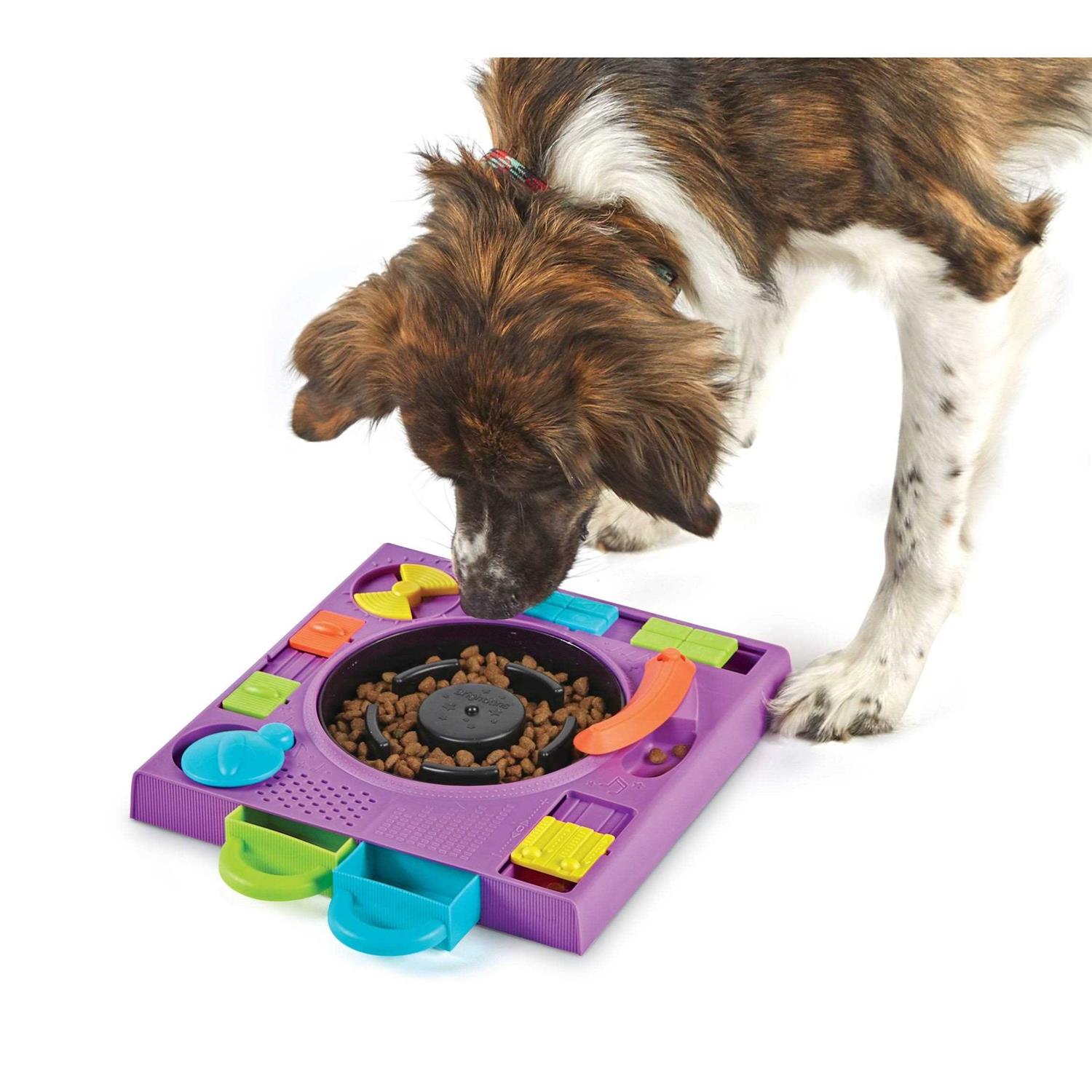 Brightkins DJ Doggo Puzzle Feeder Dog Toy - Healthber