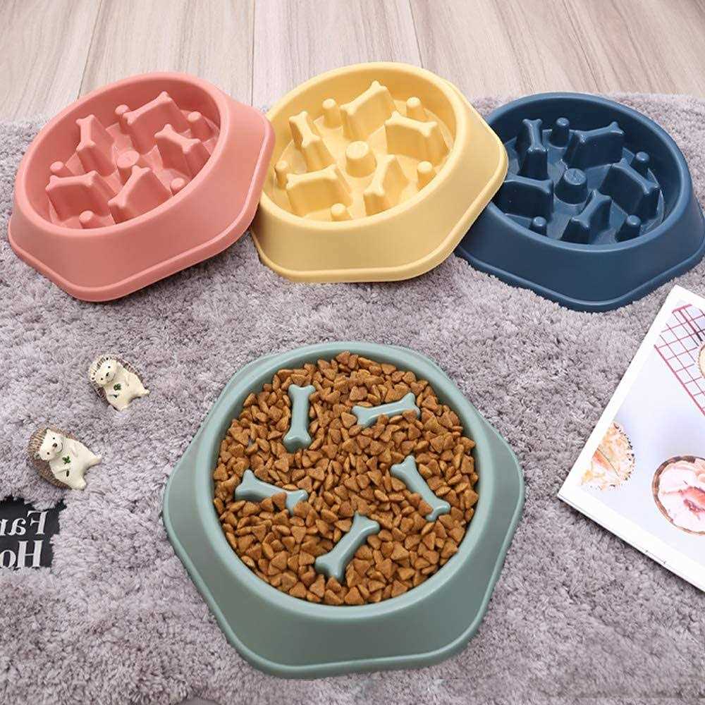 CAISHOW Slow Feeder Dog Bowl Anti Gulping Healthy Eating Interactive Bloat Stop Fun Alternative Non Slip Dog Slow Food Feeding Pet Bowl Slow Eating - Healthber