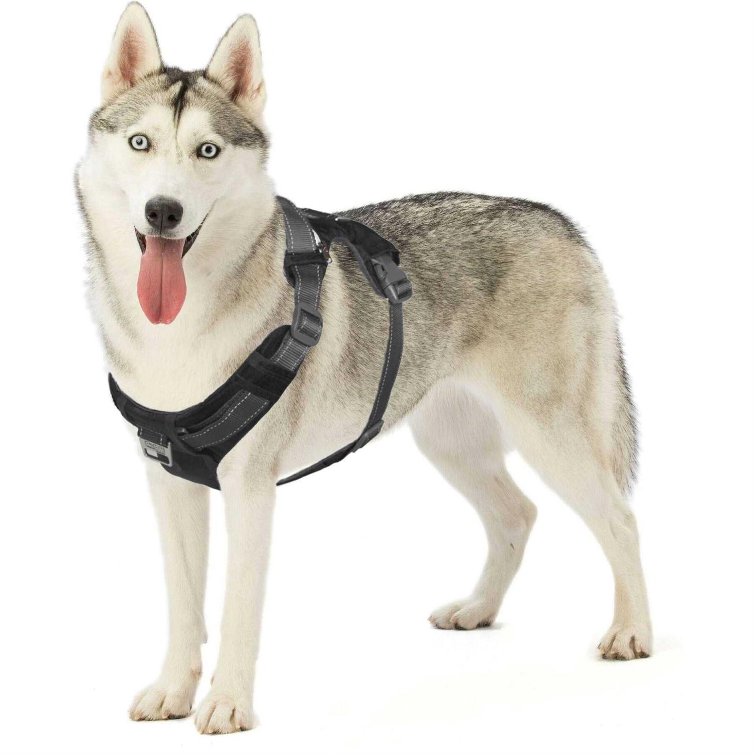 Outward Hound Boulder Adventure Adjustable Dog Harness with Pockets - Healthber