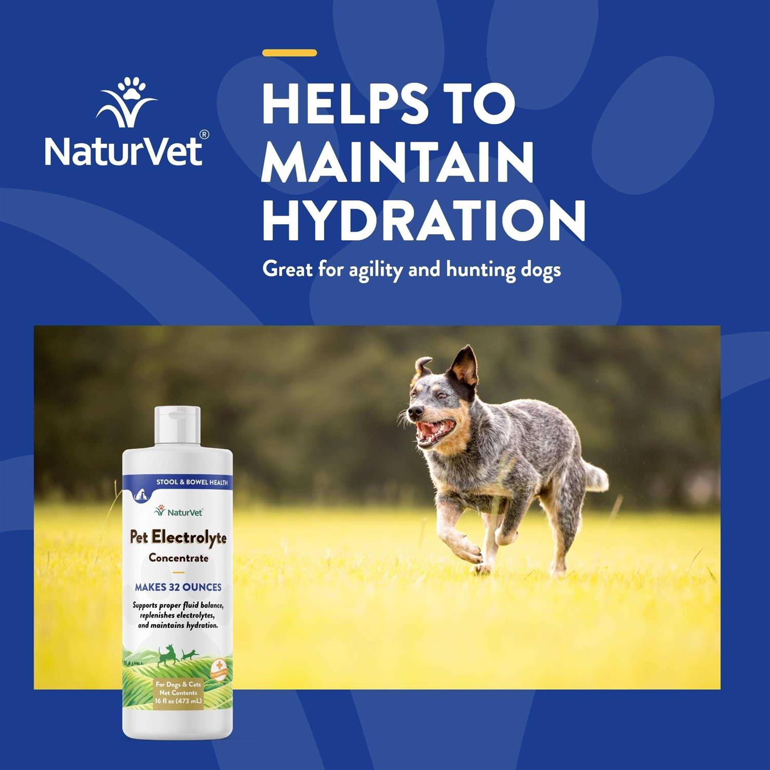 NaturVet Pet Electrolyte Concentrate 16 oz for Dogs & Cats - Healthber