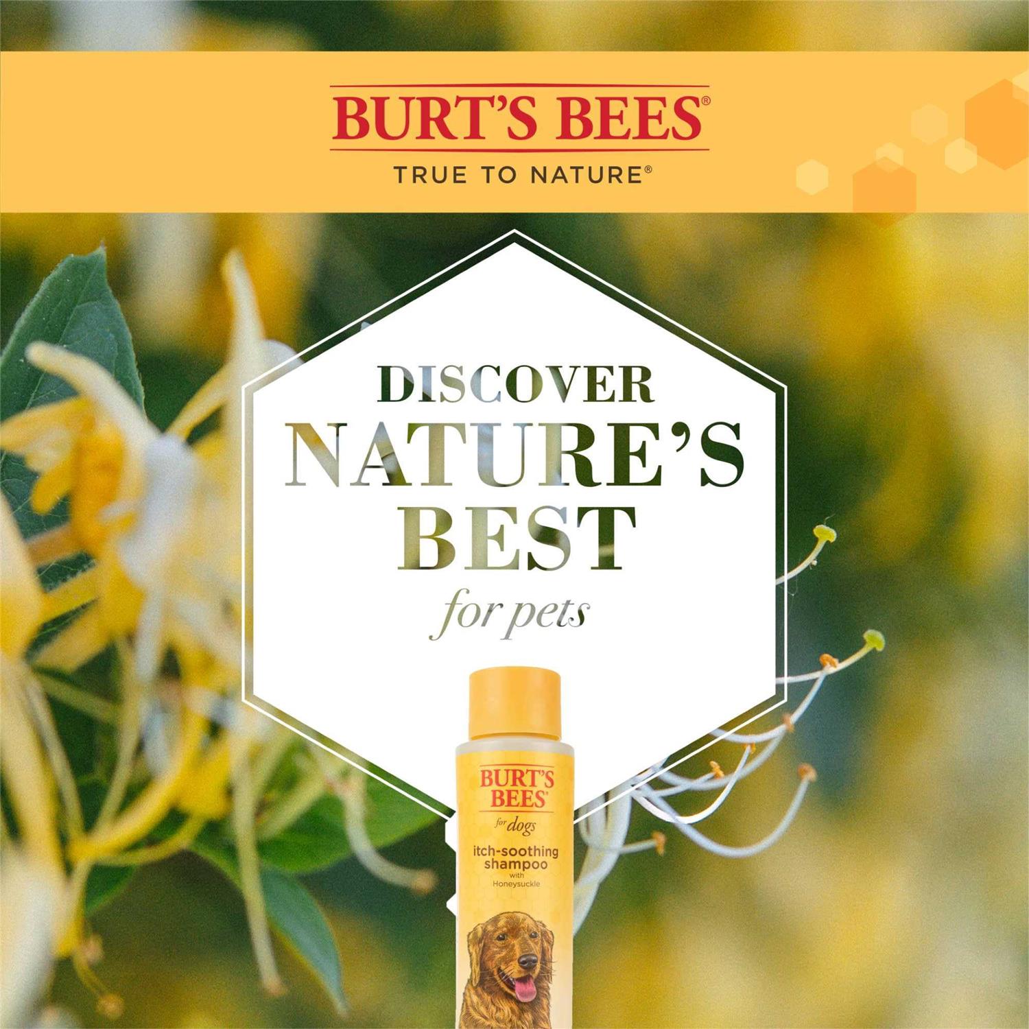 Burt’s Bees for Dogs Shampoo - Healthber