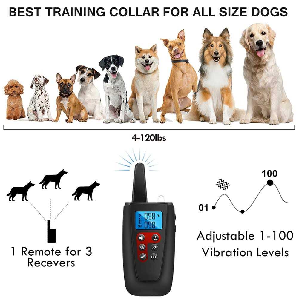 Paipaitek No Shock Dog Training Collar with Remote Vibration Collar Dogs Dogs - Healthber