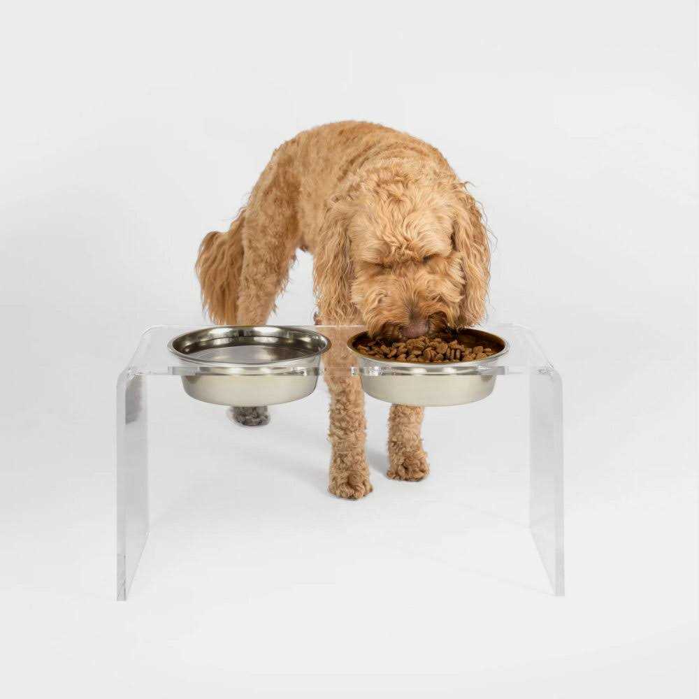 Hiddin Clear Double Bowl Pet Feeder - Healthber