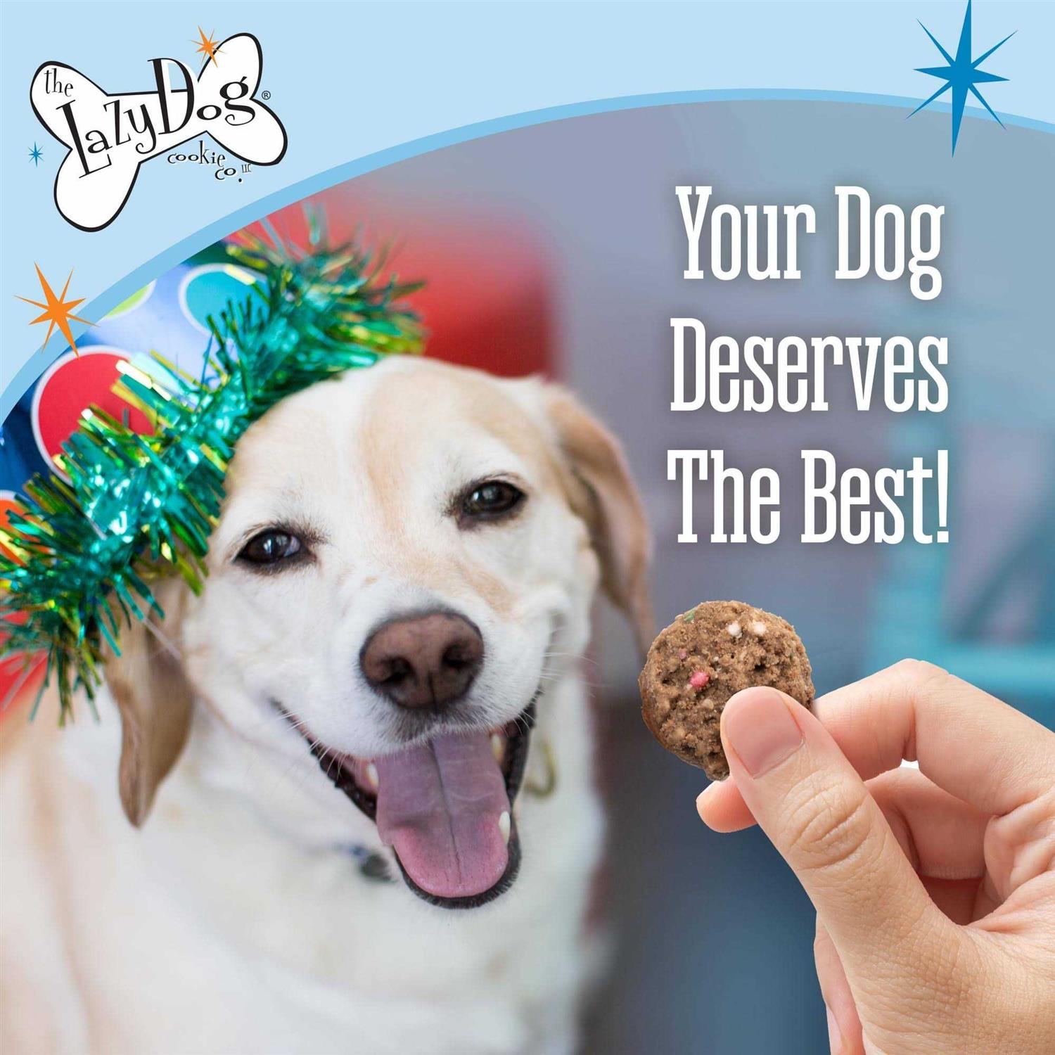 The Lazy Dog Cookie Co. Birthday Cake Bites Dog Treats - Healthber